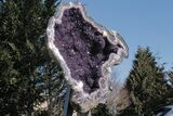 Amethyst Geode with Metal Stand - Spectacular Display! #208916-1